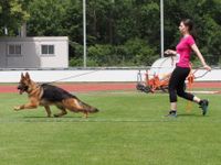 Schweizer Vizesiegerin JHKL 2021 Viva von der Gl&uuml;cksgrube