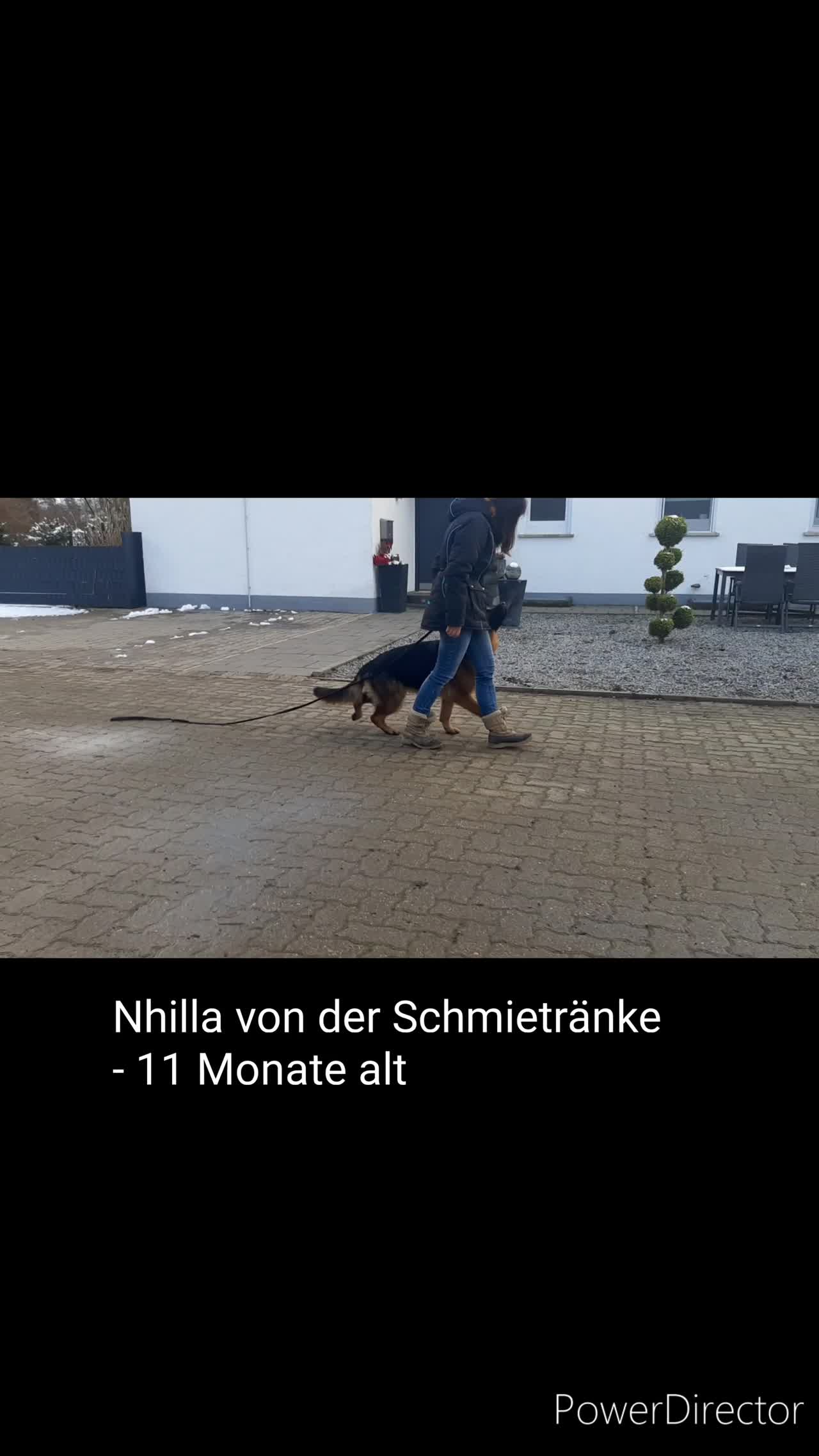 Unterordnung mit 11 Monaten